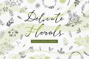 Download Delicate Florals Collection - Florals Collection